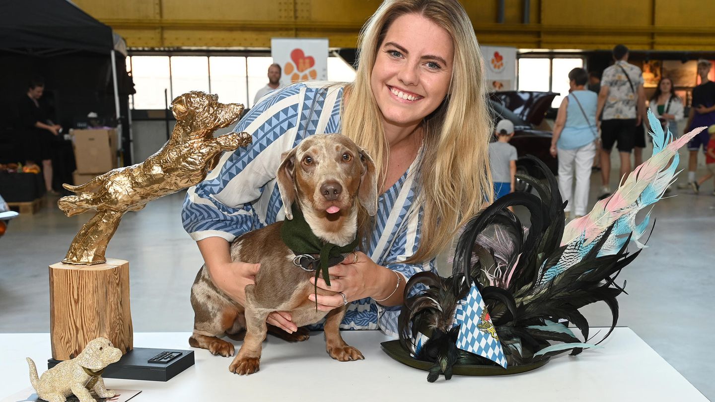 Waldis Renaissance: Laura Kurz hält ihren Dackel Luitpold, einen 3 Jahre alten amerikanischen Mini. Luitpold hat beim 1. Münchner Dackel-Rennen in der Motorworld München den Preis "Schnellster Dackel Münchens" gewonnen. Mit 5,51 Sekunden auf 41 Meter hat der den Weltrekord geknackt. Der Rekord lag bislang bei 5,53 Sekunden Laura Kurz hält ihren Dackel Luitpold, einen 3 Jahre alten amerikanischen Mini. Luitpold hat beim 1. Münchner Dackel-Rennen in der Motorworld München den Preis "Schnellster Dackel Münchens" gewonnen. Mit 5,51 Sekunden auf 41 Meter hat der den Weltrekord geknackt. Der Rekord lag bislang bei 5,53 Sekunden