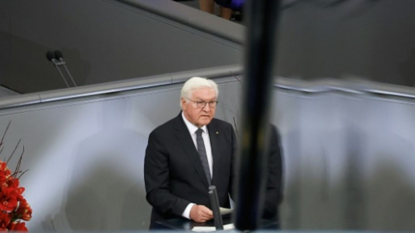 Bundespräsident Steinmeier
