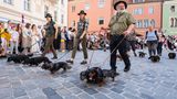 Dackelparade in Regensburg