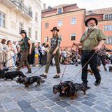 Dackelparade in Regensburg