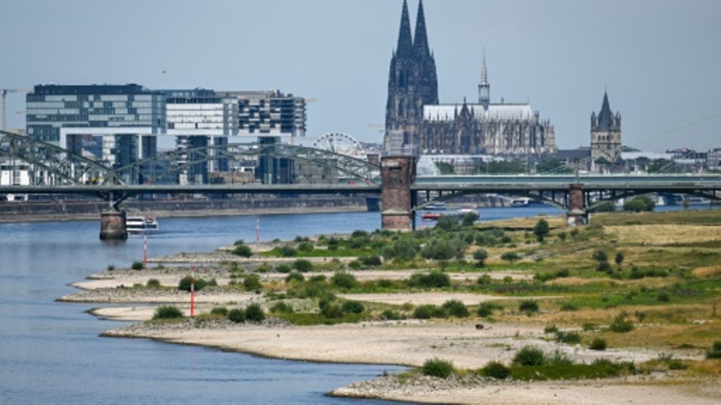 Blick auf Köln