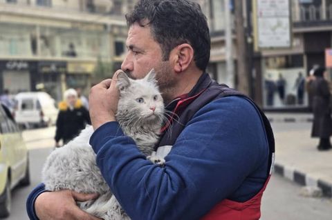 Mohammad Alaa Aljaleeleine konnte nach Aleppo, Syrien, zurückkehren