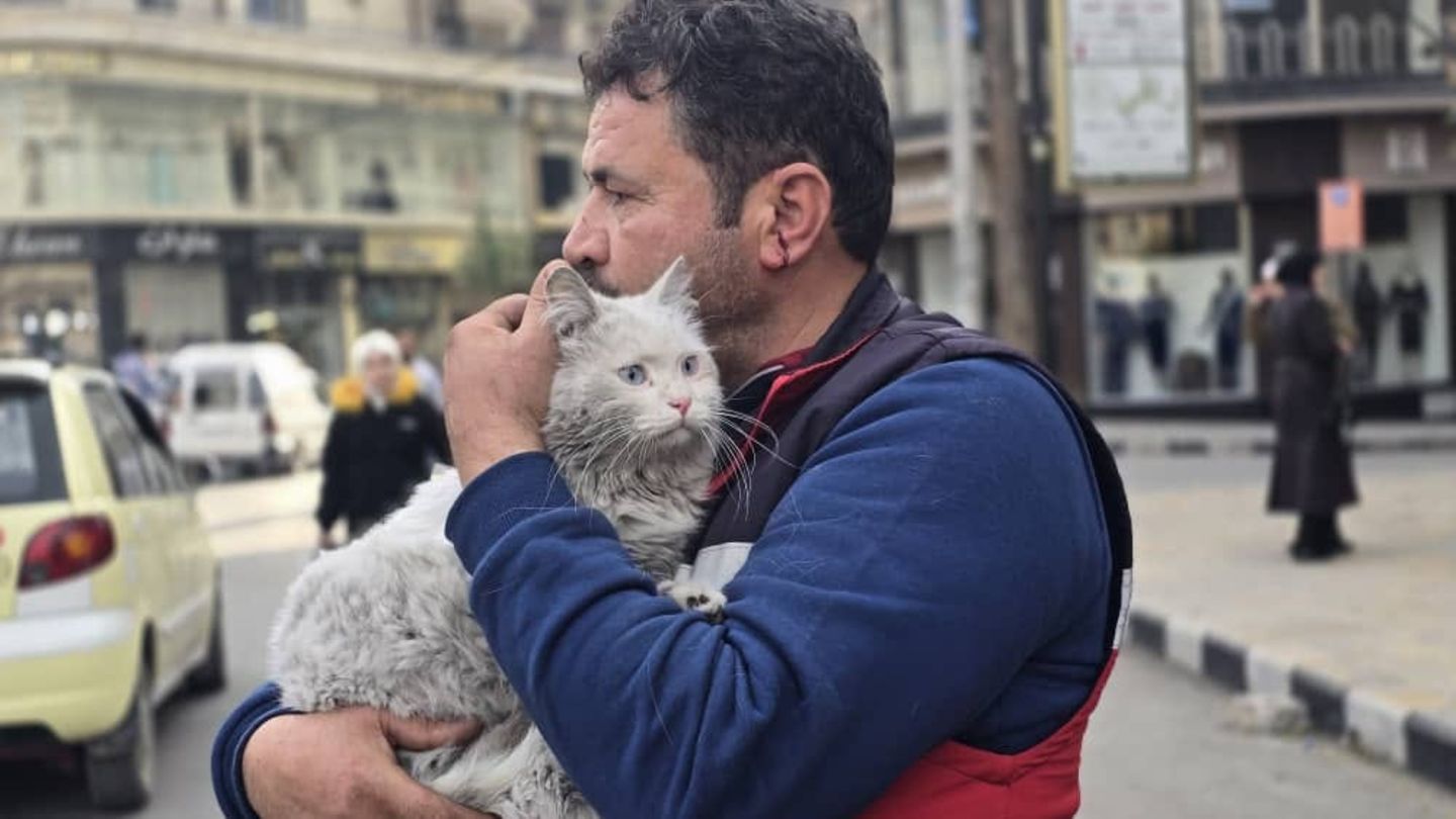 Mohammad Alaa Aljaleeleine konnte nach Aleppo, Syrien, zurückkehren