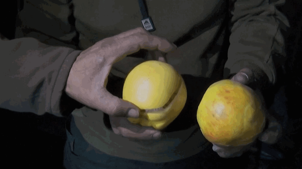 Rebellen entdecken geheimes Drogenlabor in der Nähe von Damaskus (Video)