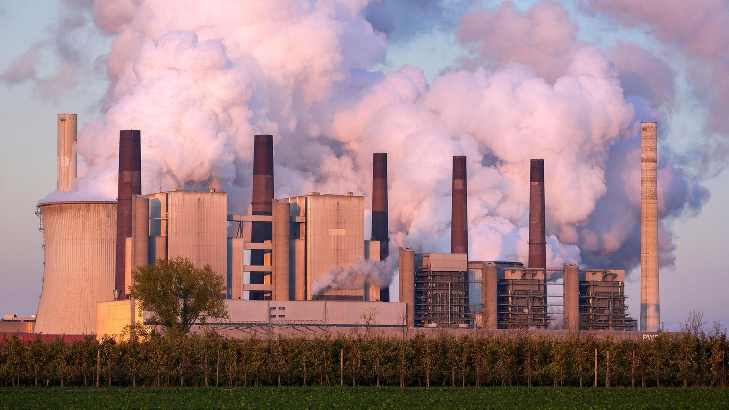 Traffic light off: Government leaves behind a field of rubble when it comes to climate protection