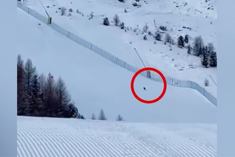 Wölfe stürmen über Skipiste in Italien