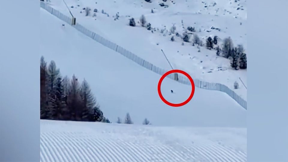 Wolf in Italien Wölfe stürmen über Skipiste in Italien