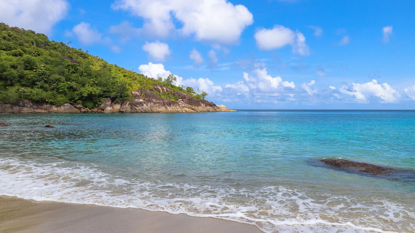 Ein Strand auf Mayotte: Türkisblaues waaer, Palmen, strahlende Sonne