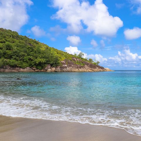 Ein Strand auf Mayotte: Türkisblaues waaer, Palmen, strahlende Sonne