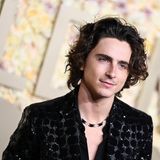 Schauspieler Timothée Chalamet
