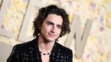 Schauspieler Timothée Chalamet