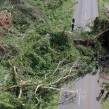 Angehörige der Gendarmerie Nationale – eine Art französischer Bundespolizei – räumen eine Straße, auf der durch Zyklon "Chido" umgestürzte Bäume liegen