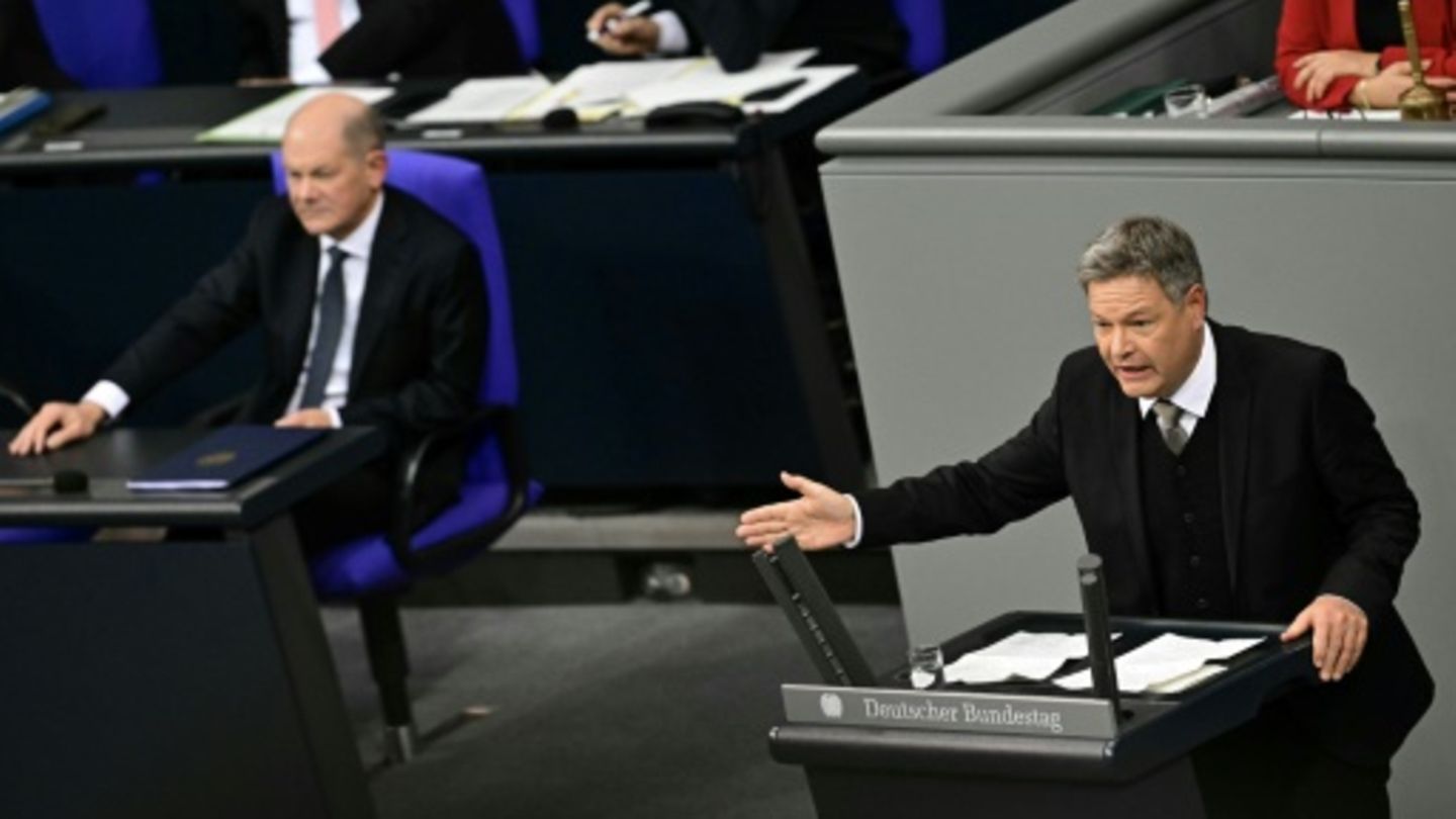 Grünen-Kanzlerkandidat Habeck