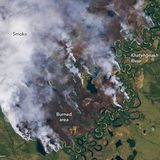 Ein Waldbrand in Sibirien