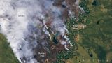 Ein Waldbrand in Sibirien