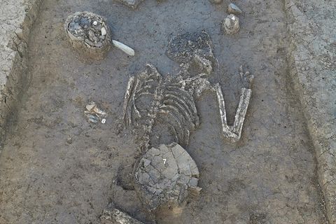 Entdeckung: 6800 Jahre altes Skelett