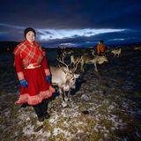 Die Sami in Norwegen züchten die Rentiere