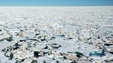 Blick aufs Packeis im Arktischen Meer