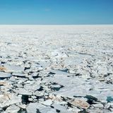 Blick aufs Packeis im Arktischen Meer