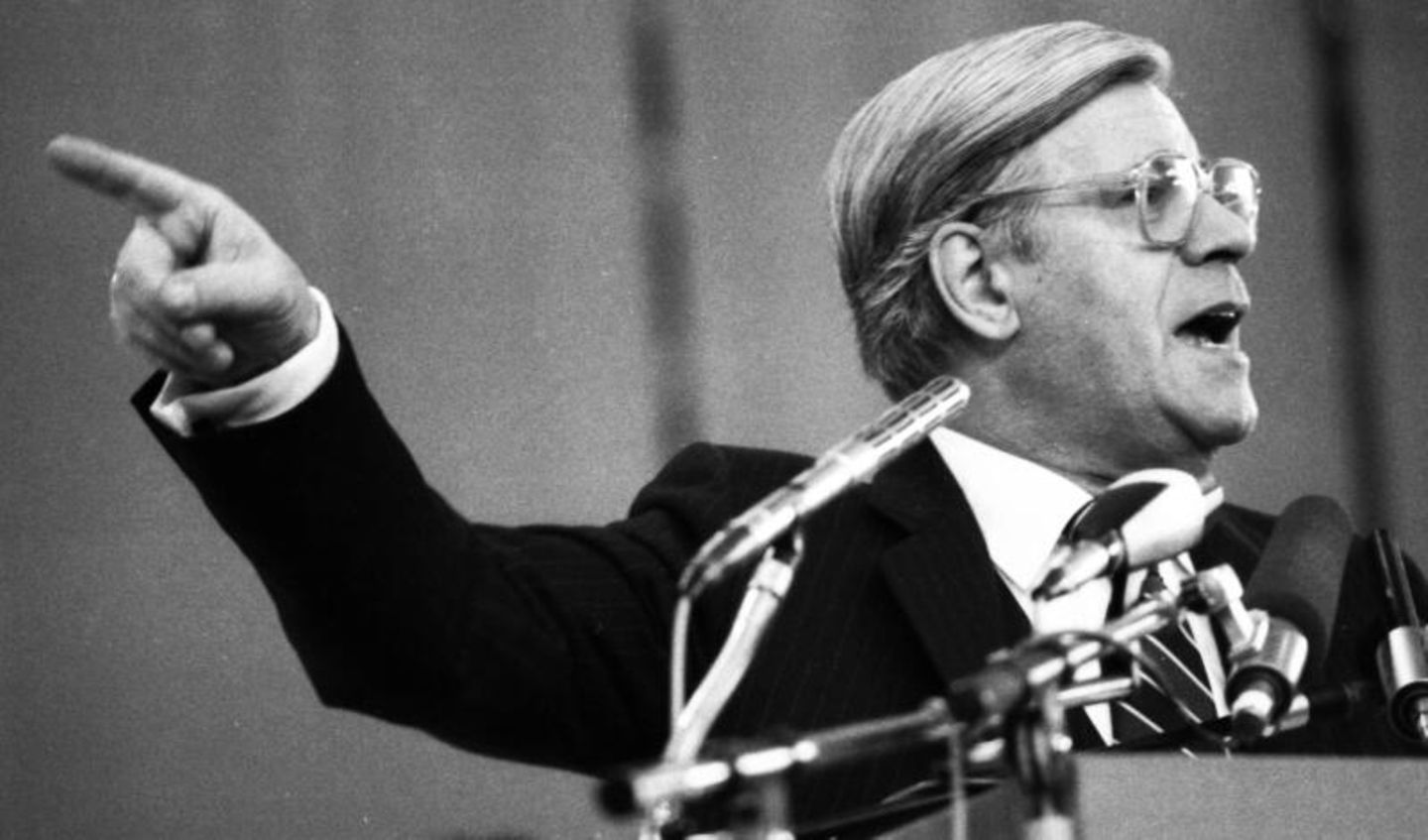 Auch Brandts Nachfolger Helmut Schmidt galt als brillanter Rhetoriker. Seine Reden waren bei Weitem nicht so glatt geschliffen wie die von Kurt Georg Kiesinger, doch das machte Schmidt mit Schlagfertigkeit wieder wett. Insbesondere die direkten Konfrontationen mit seinem Rivalen Franz-Josef Strauß wurden zu legendären Stunden des deutschen Parlaments. Seine etwas schnoddrige Art und sein hanseatischer Zungenschlag brachten ihm den Beinamen "Schmidt Schnauze" ein 