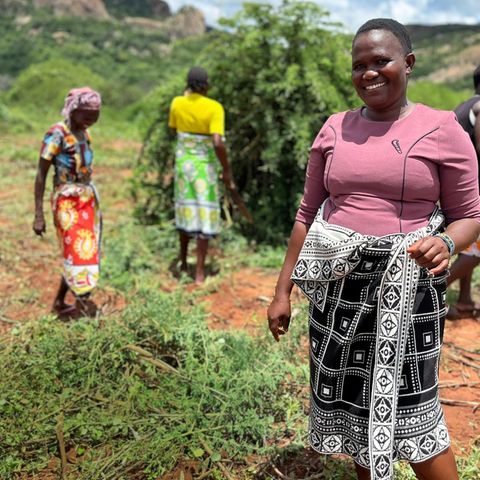 Kinakoni: Ein Projekt von Stiftung stern