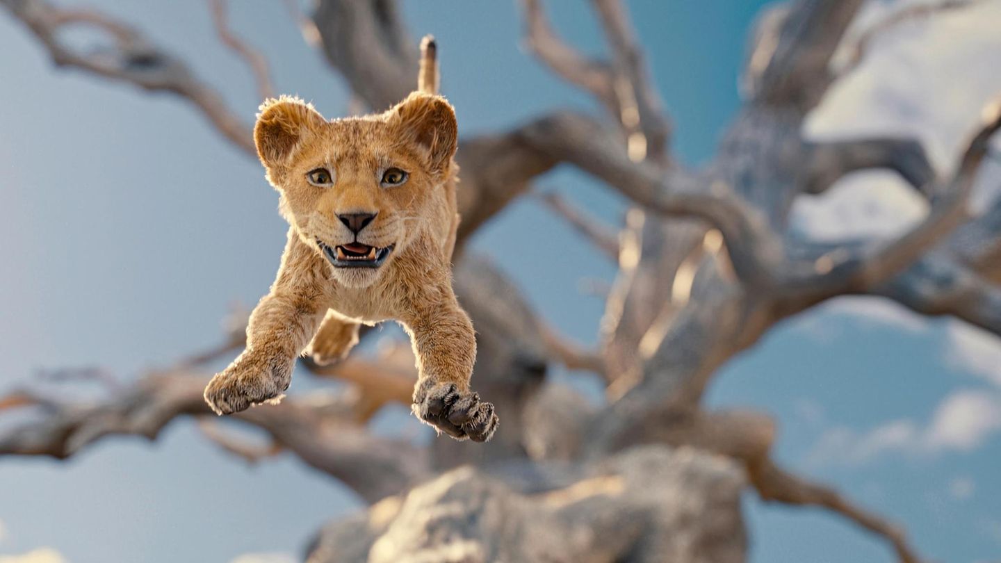 Mufasa als Welpen