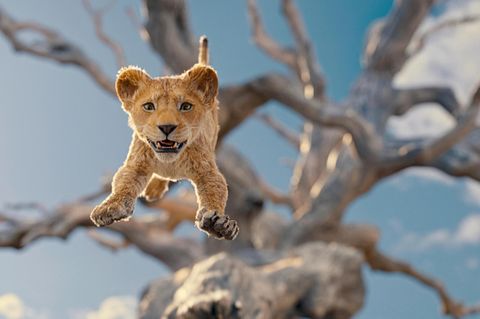 Mufasa als Welpen