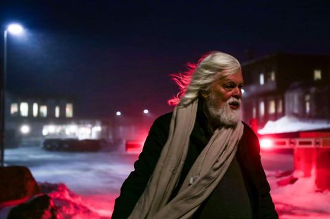 Walfang-Aktivist Paul Watson wird aus dem Gefängnis in Grönland entlassen