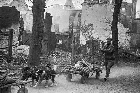 Zweiter Weltkrieg