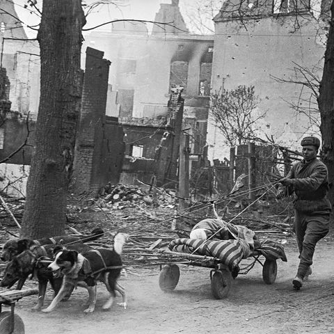 Zweiter Weltkrieg