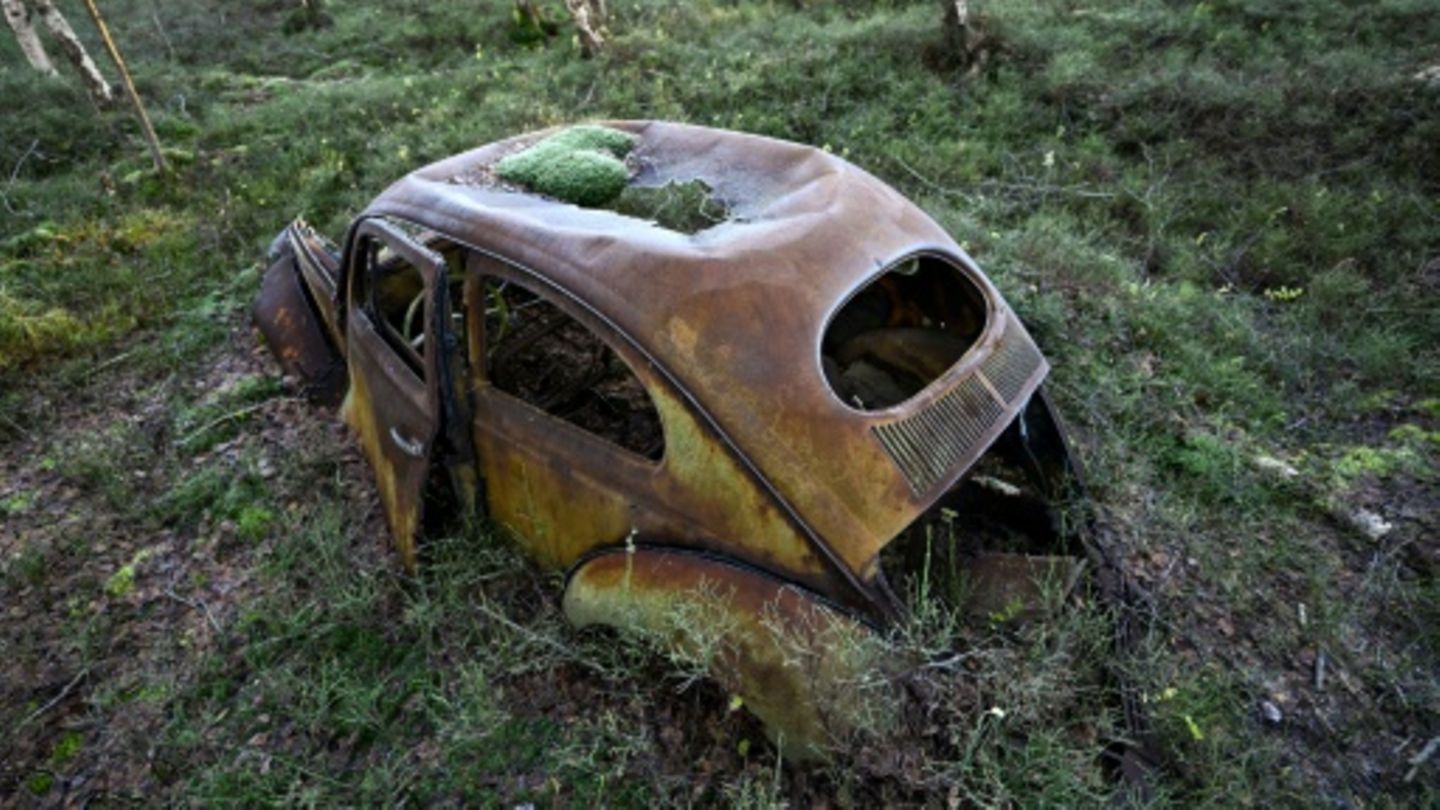 Schrottauto in Wald in Niedersachsen