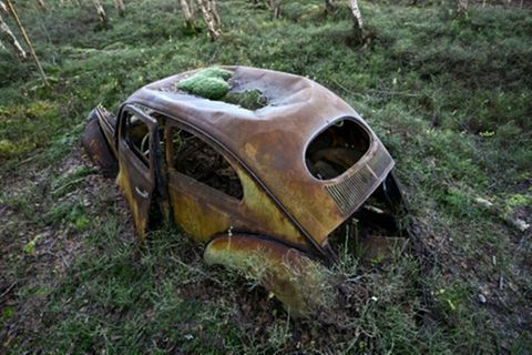 Schrottauto in Wald in Niedersachsen
