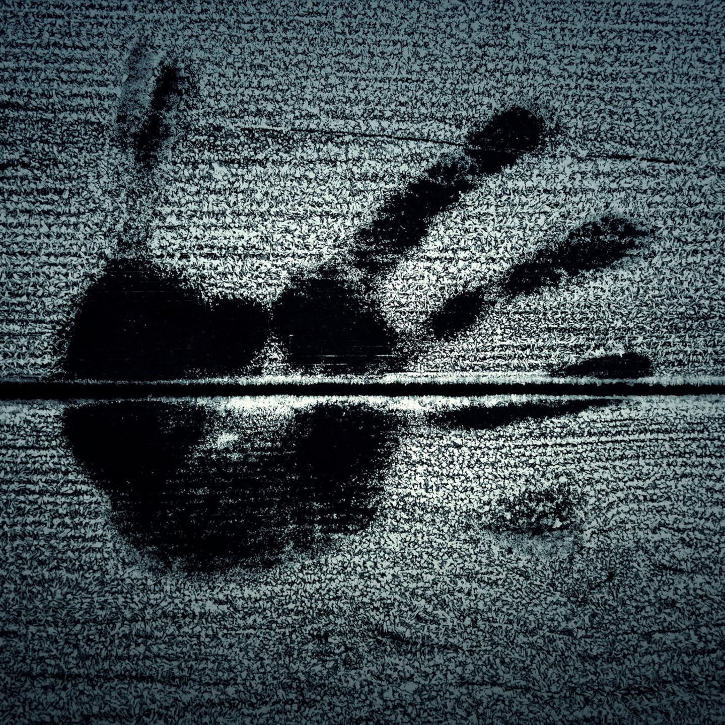 Handabdruck auf gefrorenem Holz