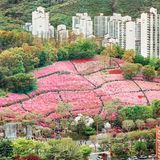 Seunggu Kim - Better Days