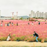 Seunggu Kim - Better Days