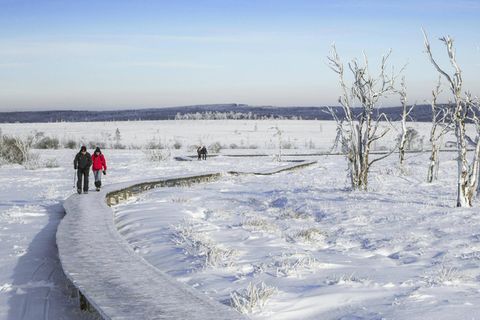 Neujahrsspaziergang: Ein Paar spaziert auf einem Bohlenweg durch eine verschneite Moorebene im Hohen Venn
