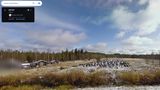 Bunte Kleider schmücken ihre unbeweglichen Körper, die gesichtslosen Strohköpfe schauen in dieselbe Richtung. Eine Armee von Figuren steht schweigend auf einem Feld nahe einer Autobahn außerhalb von Suomussalmi, Finnland. Die "Silent People" von Künstler Reijo Kela scheinen über die Straße zu wachen – doch ihre wahre Bedeutung bleibt ein Rätsel