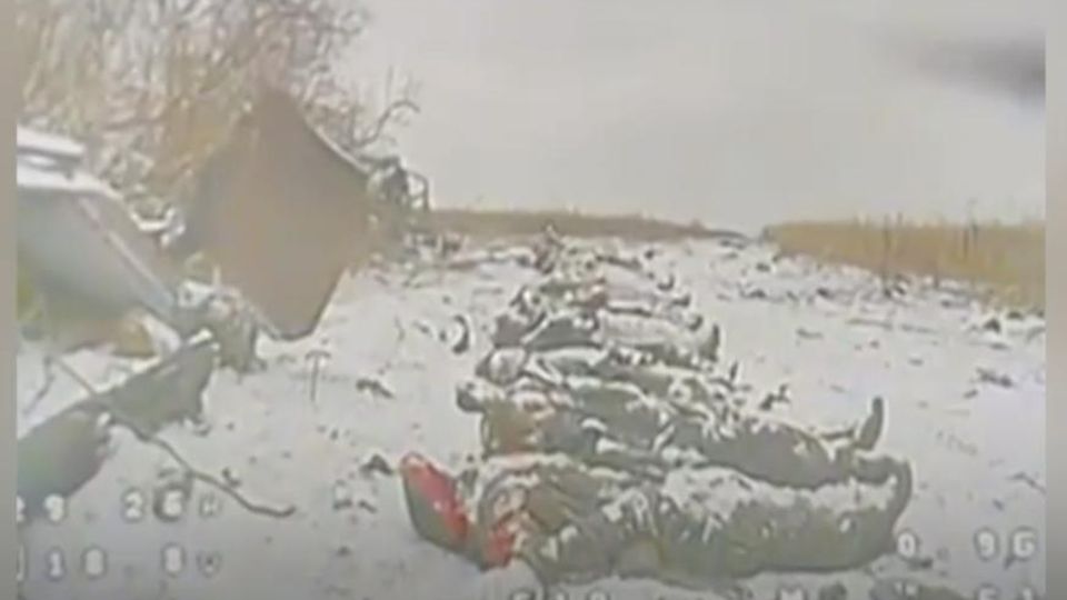 Ein Video des ukrainischen Militärs soll im Krieg gefallene Soldaten zeigen – darunter viele nordkoreanische. Selenskyi wirft Moskau vor, die Opferzahl gemeinhin zu verschleiern.