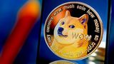 Eine symbolihsche Münze der Dogecoin-Kryptowährung mit dem Kopf eines Shiba-Inu-Hundes