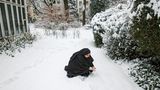 Schneeballschlacht im Kloster