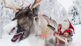 Rentier und Weihnachtsmann