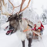 Rentier und Weihnachtsmann