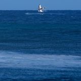 Ein Buckelwal springt im Meer vor Tahiti aus dem Wasser