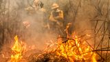 Das weltweit größte Binnenland-Feuchtgebiet steht in Flammen. Die brasilianischen Behörden zählten dort in der ersten Jahreshälfte so viele Feuer wie nie zuvor seit Aufzeichnungsbeginn. Im angrenzenden Amazonasgebiet ist die Lage kaum besser: Bis Ende November registrierte das Institut für Weltraumforschung (Inpe) dort rund 135.000 Brände. Dass die Gebiete immer wieder in Flammen aufgehen, hängt nicht nur mit der globalen Erderwärmung zusammen, die die Böden und Ökosysteme austrocknet. In vielen Fällen werden die Brände auch gezielt für die Landwirtschaft gelegt