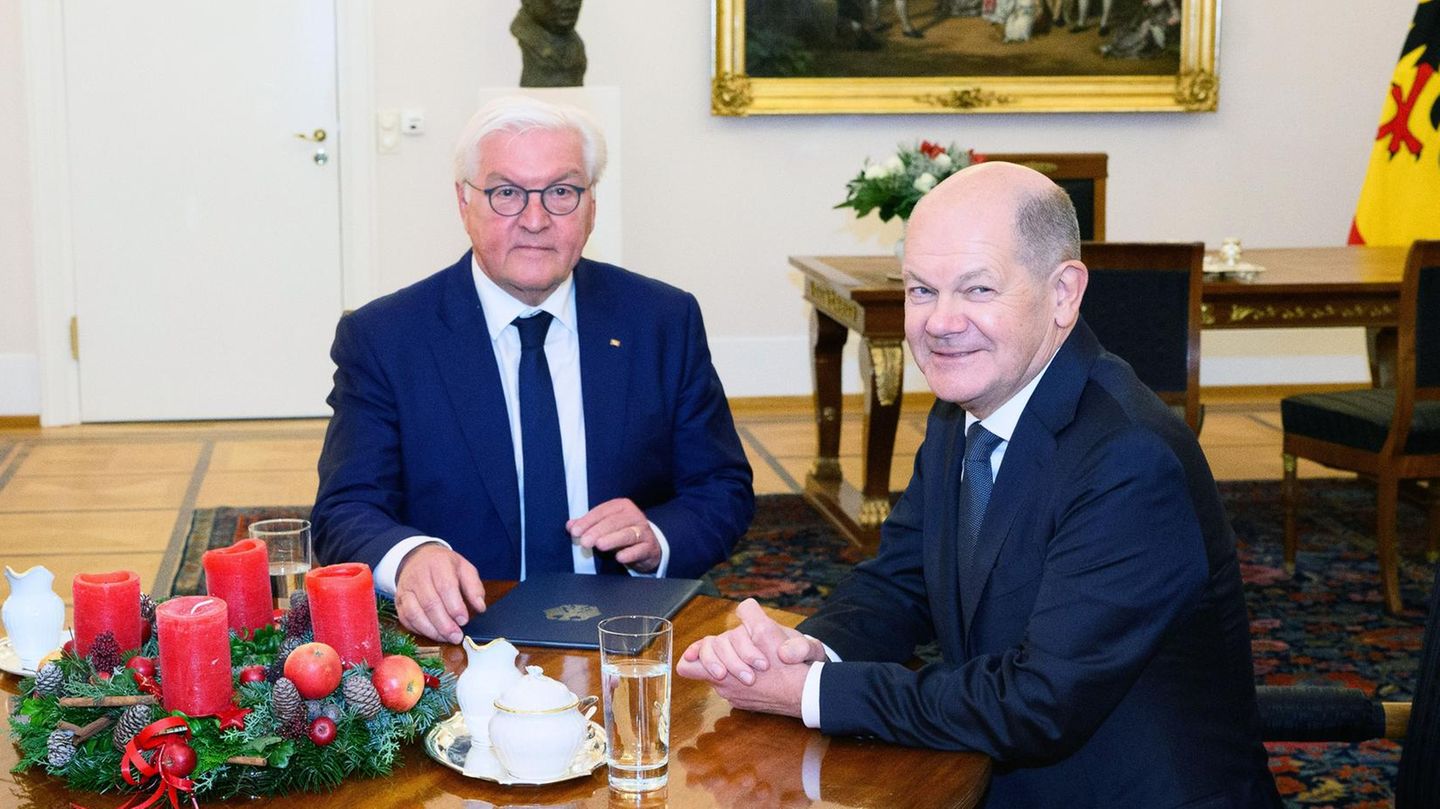 New elections: Federal President decides after Christmas