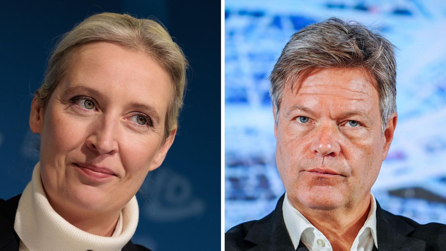 Habeck vs. Weidel: ARD and ZDF cancel second TV duel