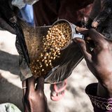 Der Lohn der Geduld - ein Messbecher Bohnen