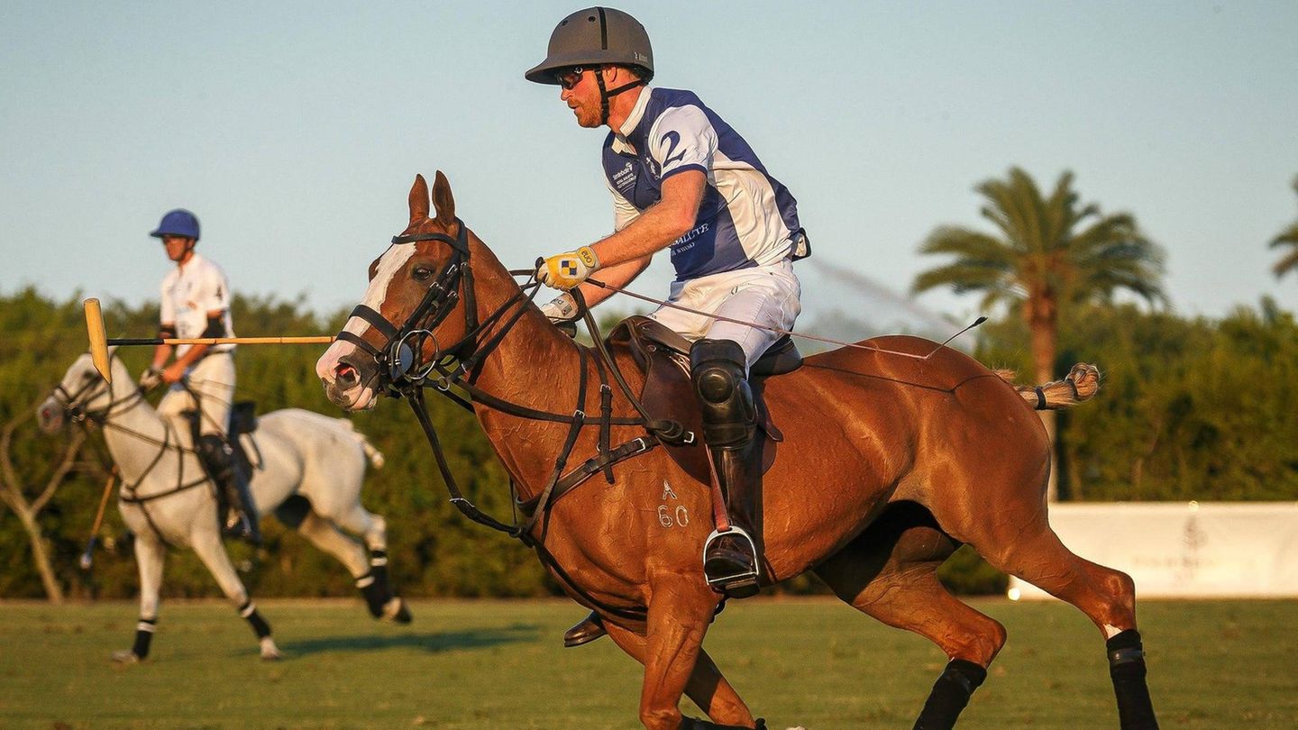 Prinz Harry mit Helm und Sonnebrille auf seinem Pferd beim Polospiel