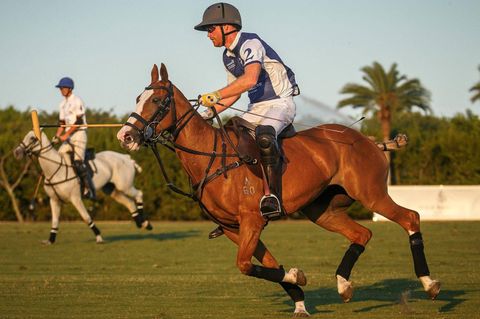 Prinz Harry mit Helm und Sonnebrille auf seinem Pferd beim Polospiel