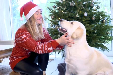 Für Sie zählen Haustiere auch als Familienmitglieder? Sehen Sie im Video, wie Sie Vierbeinern an Weihnachten etwas Gutes tun können.